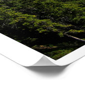 Upper Kananaskis Lake Poster (Ecke)