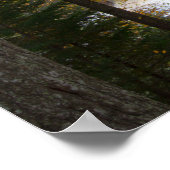 Upper Tahquamenon Falls, Herbst, Michigan Poster (Ecke)