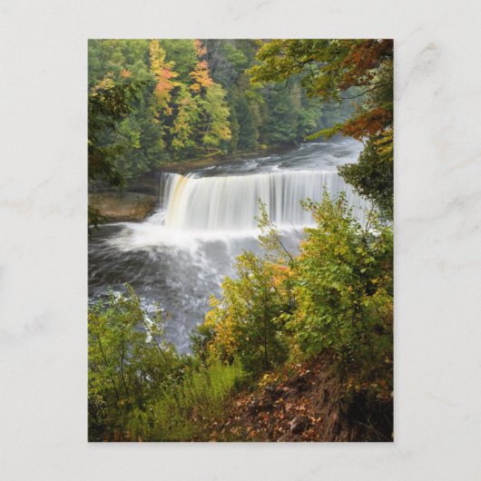 Upper Tahquamenon Falls Postkarte (Vorderseite)
