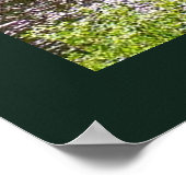 Upper Tahquamenon Falls Staat Park, MI Poster (Ecke)