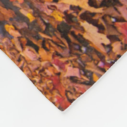 Upper Whiteoak Falls, Shenandoah National Park, VA Fleecedecke (Ecke)