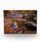Upper Whiteoak Falls, Shenandoah National Park, VA Fotoblock (Vorderseite)