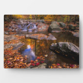Upper Whiteoak Falls, Shenandoah National Park, VA Fotoplatte (Vorderseite)