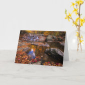 Upper Whiteoak Falls, Shenandoah National Park, VA Karte (Gelbe Blume)