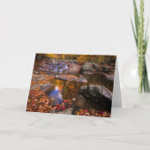 Upper Whiteoak Falls, Shenandoah National Park, VA Karte (Vorderseite)