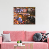 Upper Whiteoak Falls, Shenandoah National Park, VA Leinwanddruck (Insitu (Wohnzimmer))