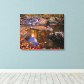 Upper Whiteoak Falls, Shenandoah National Park, VA Leinwanddruck (Insitu (Holzboden))