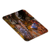 Upper Whiteoak Falls, Shenandoah National Park, VA Magnet (Rechte Seite)