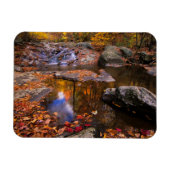 Upper Whiteoak Falls, Shenandoah National Park, VA Magnet (Horizontal)