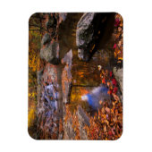 Upper Whiteoak Falls, Shenandoah National Park, VA Magnet (Vertikal)