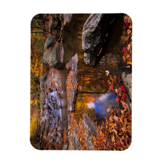 Upper Whiteoak Falls, Shenandoah National Park, VA Magnet (Vertikal)