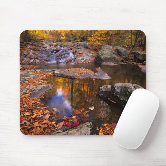 Upper Whiteoak Falls, Shenandoah National Park, VA Mousepad (Mit Mouse)