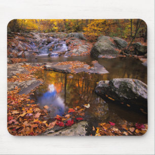 Upper Whiteoak Falls, Shenandoah National Park, VA Mousepad