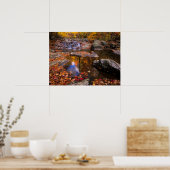 Upper Whiteoak Falls, Shenandoah National Park, VA Poster (Küche)