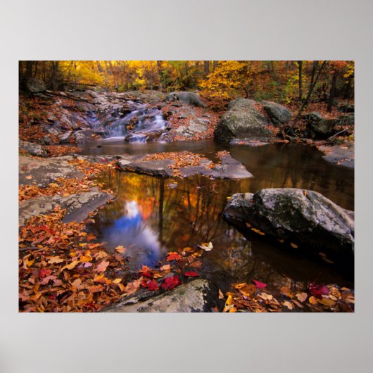 Upper Whiteoak Falls, Shenandoah National Park, VA Poster (Vorne)