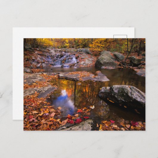 Upper Whiteoak Falls, Shenandoah National Park, VA Postkarte (Vorne/Hinten)