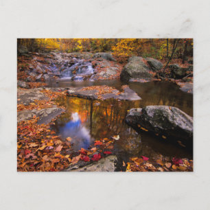 Upper Whiteoak Falls, Shenandoah National Park, VA Postkarte