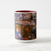 Upper Whiteoak Falls, Shenandoah National Park, VA Tasse (Zentrum)