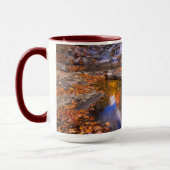 Upper Whiteoak Falls, Shenandoah National Park, VA Tasse (Links)