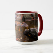 Upper Whiteoak Falls, Shenandoah National Park, VA Tasse (VorderseiteRechts)