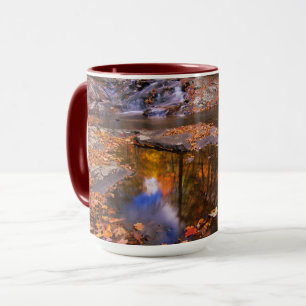 Upper Whiteoak Falls, Shenandoah National Park, VA Tasse