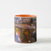 Upper Whiteoak Falls, Shenandoah National Park, VA Tasse (Zentrum)