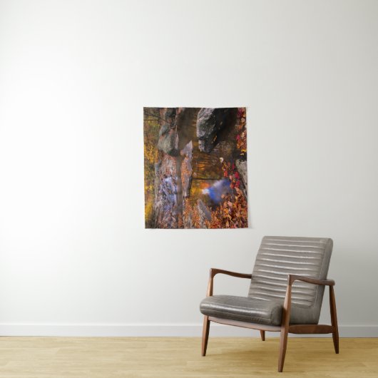 Upper Whiteoak Falls, Shenandoah National Park, VA Wandteppich (Beispiel)