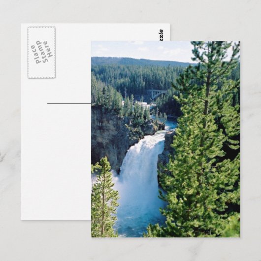 Upper Yellowstone Falls Postkarte (Vorne/Hinten)