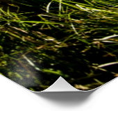 Upper Yosemite Falls Poster (Ecke)