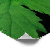 üppig grüne Waldvegetation Poster (Ecke)