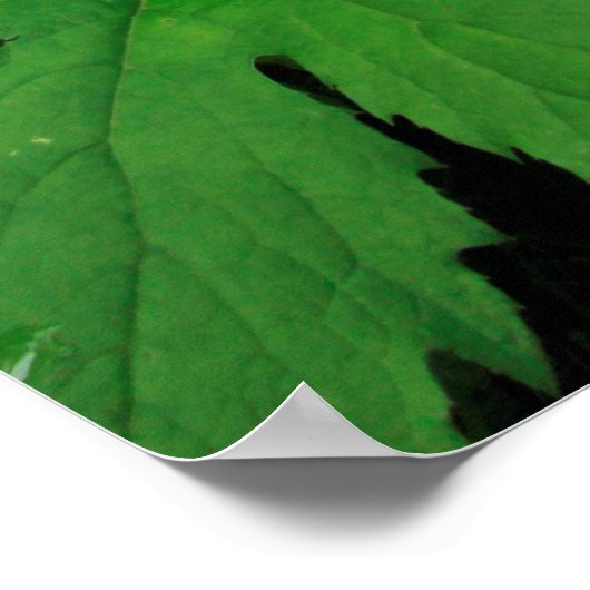 üppig grüne Waldvegetation Poster (Ecke)