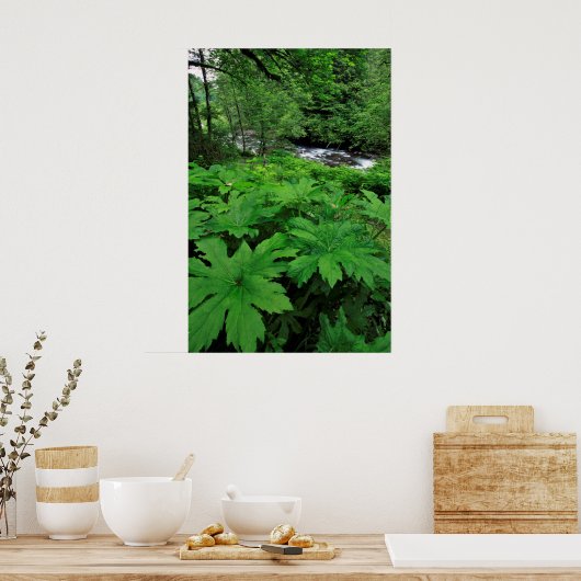 üppig grüne Waldvegetation Poster (Küche)