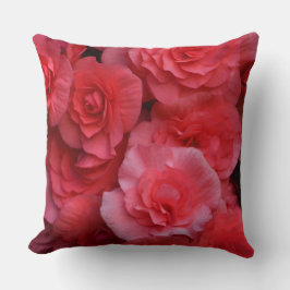 Üppige doppelte rosa Begonie Kissen