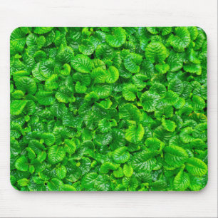 Üppige grüne Blätter Mousepad
