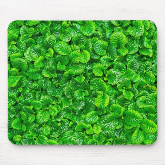 Üppige grüne Blätter Mousepad (Vorne)