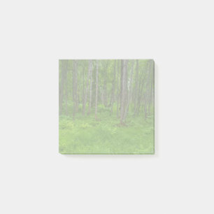 Üppige grüne Waldlandschaftsszene Post-it Klebezettel