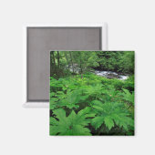 Üppige grüne Waldvegetation Magnet (Vorderseite/Rückseite)