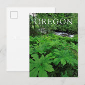 Üppige grüne Waldvegetation Postkarte (Vorne/Hinten)
