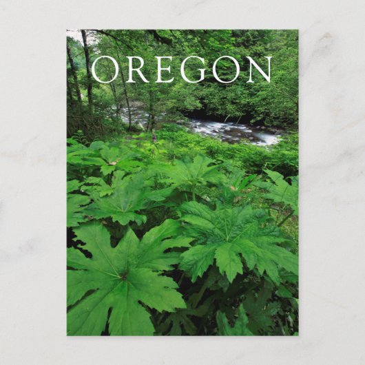 Üppige grüne Waldvegetation Postkarte (Vorderseite)