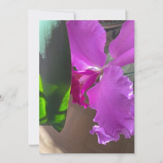 Üppige Orchidee Dankeskarte (Vorderseite)