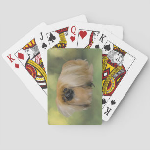 Üppige Schönheit Spielkarten