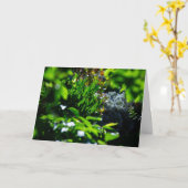 Üppiger grüner Garten Karte (Gelbe Blume)