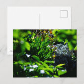 Üppiger grüner Garten Postkarte (Vorne/Hinten)