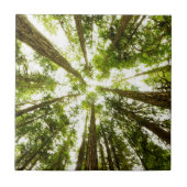 Üppiger grüner Regen-Wald Fliese (Vorderseite)