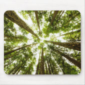 Üppiger grüner Regen-Wald Mousepad (Vorne)