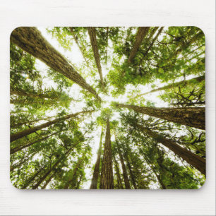 Üppiger grüner Regen-Wald Mousepad
