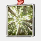 Üppiger grüner Regen-Wald Ornament Aus Metall (Links)