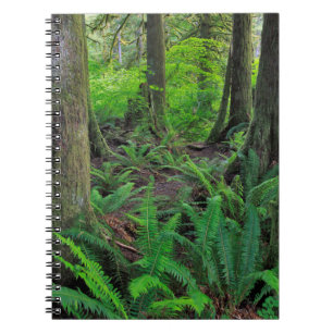 Üppiger grüner Wald Landschaft Notizblock