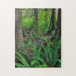 Üppiger grüner Wald Landschaft Puzzle