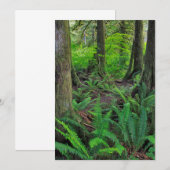 Üppiger grüner Wald landschaftlich Dankeskarte (Vorne/Hinten)